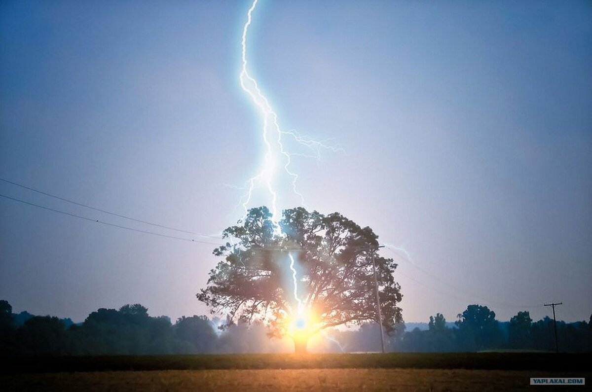 Фото из интернета