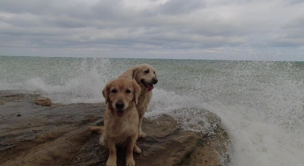 Поймали момент, когда волна разбилась о скалу