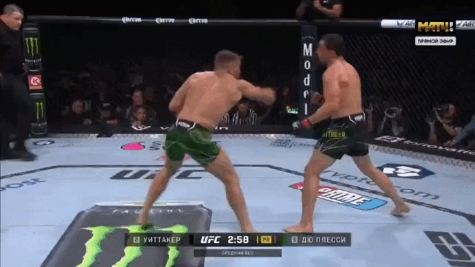 Уиттакер против Дю Плесси