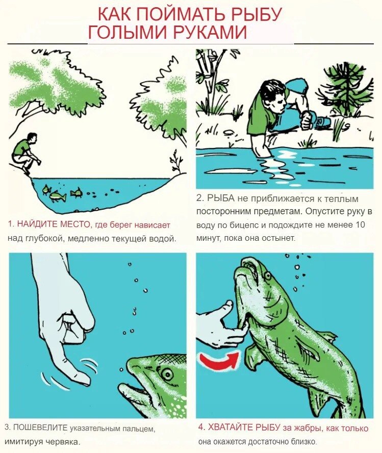 Ловля рыбы без использования снастей требует ловкости и терпения, но может быть увлекательным и эффективным способом добычи свежей пищи