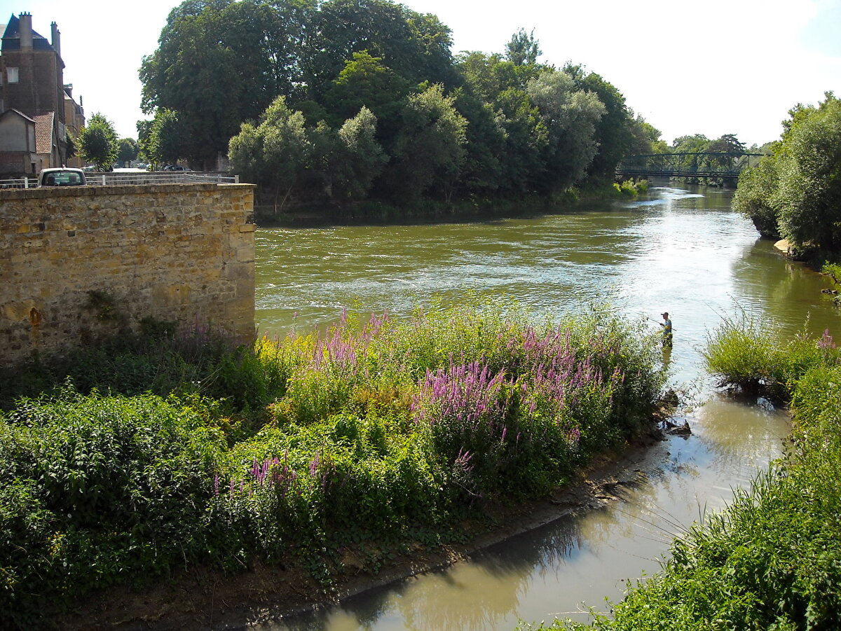 Шампань. Река Маас ( Мозен). Фото из открытых источников интернет