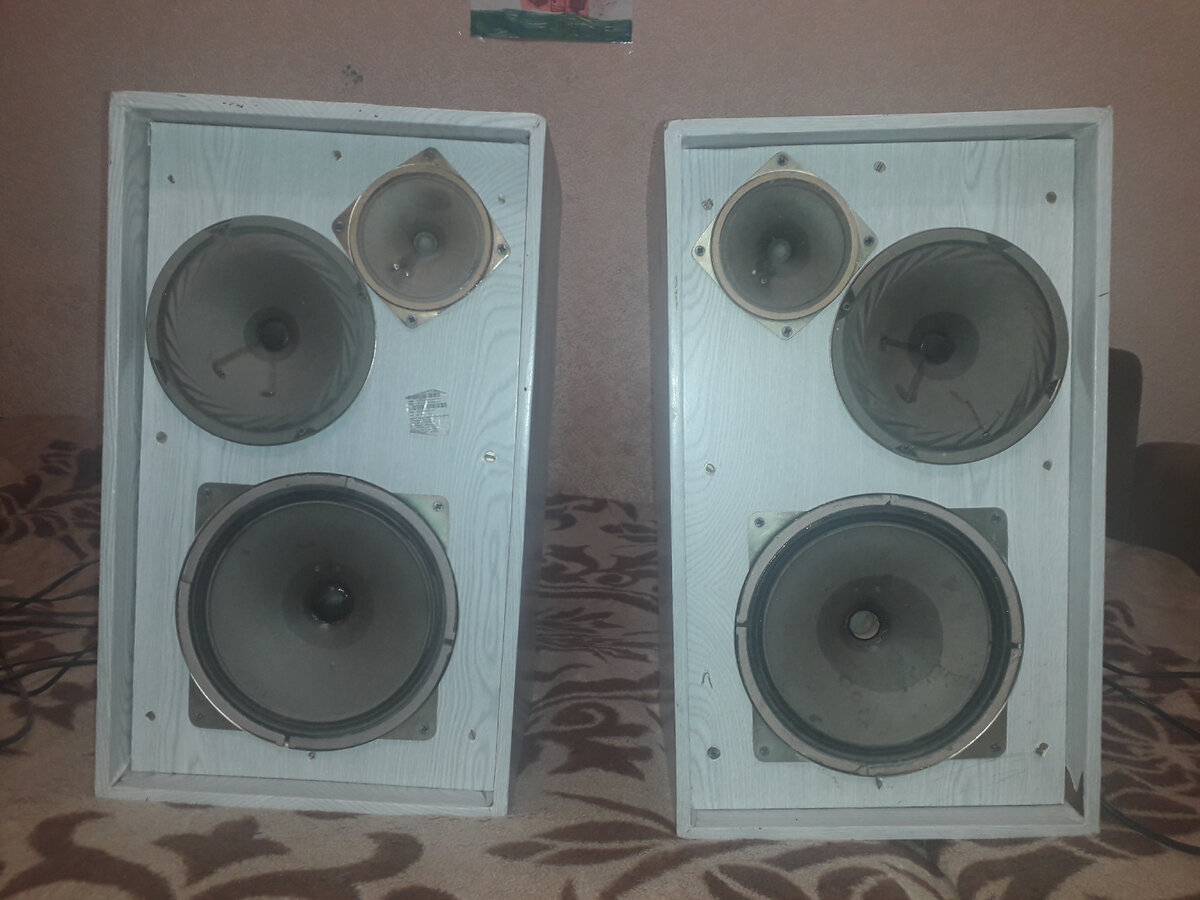 Рис. Мои самодельные колонки из корпусов Электроника Д-012 Стерео