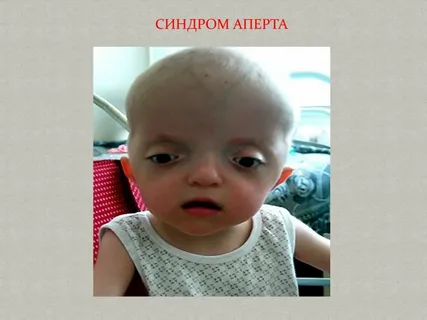 взято из общего доступа