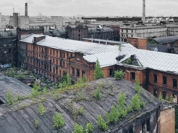    Фото медиацентра «На Марсовом поле»