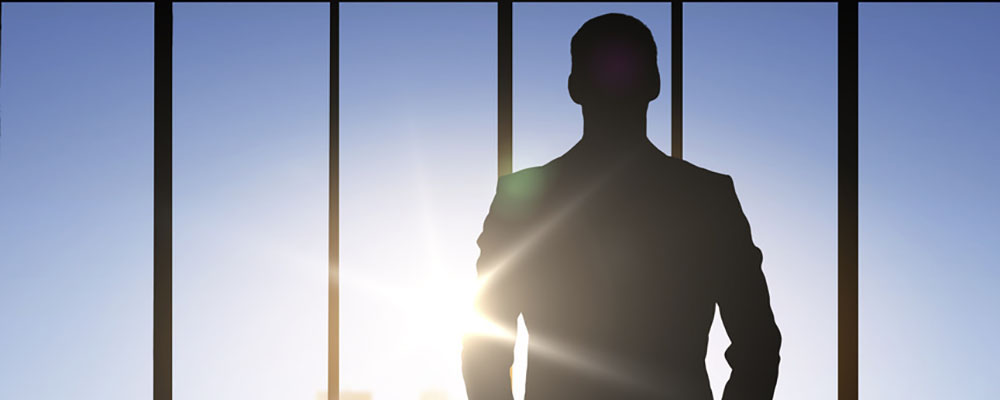 Взято из общего доступа.