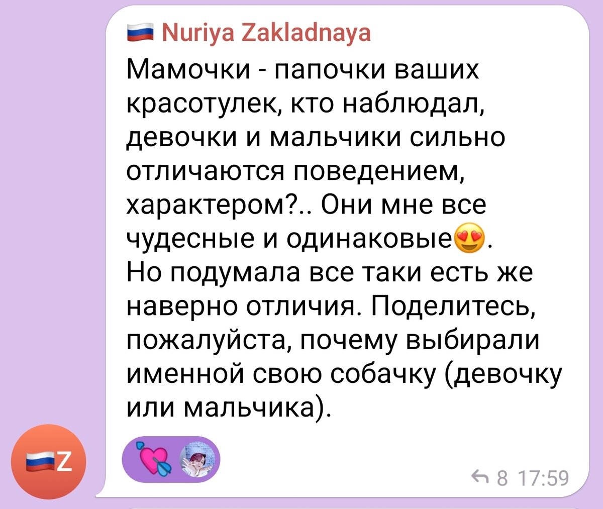 Зачем не выпускнику нужен наш чат? | Русская Цветная Болонка | Дзен