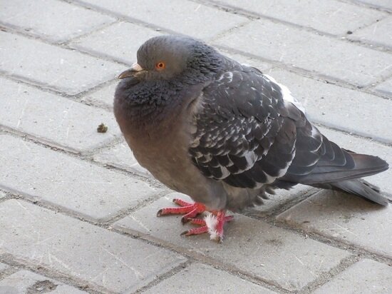     Фото: Николай Курилов / "Мк-Урал"