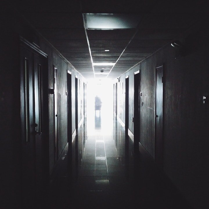    pixabay Зифа Хабирова