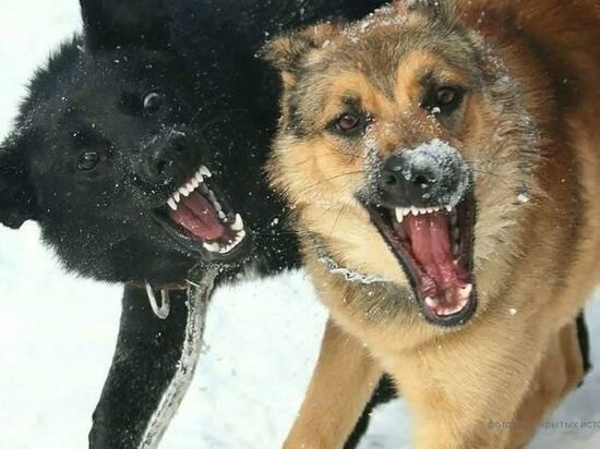     ФОТО С ТЕЛЕГРАМ-КАНАЛА ПРОКУРАТУРЫ ИРКУТСКОЙ ОБЛАСТИ