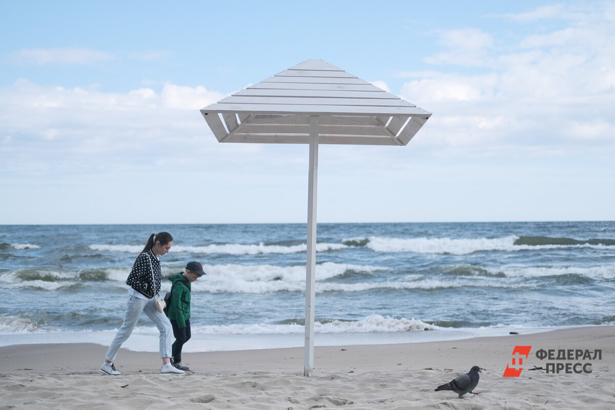 Весной на Юге цветут цветы и море приобретает особенный оттенок.  Фото: Фото: ФедералПресс / Полина Зиновьева