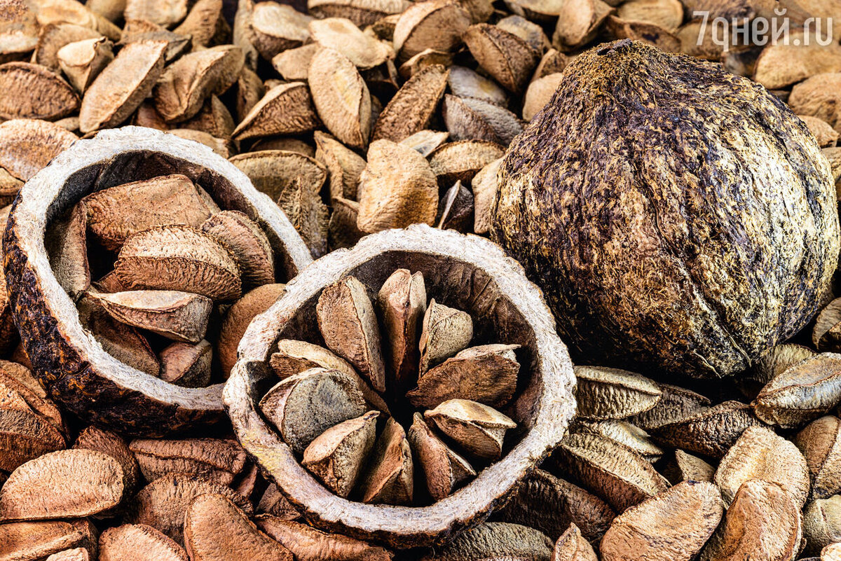Бразильский орех микроэлементы. Бразильский орех витамины и минералы. Бразильский орех польза и вред для организма. Бразильский орех польза. Бразильский орех калорийность.
