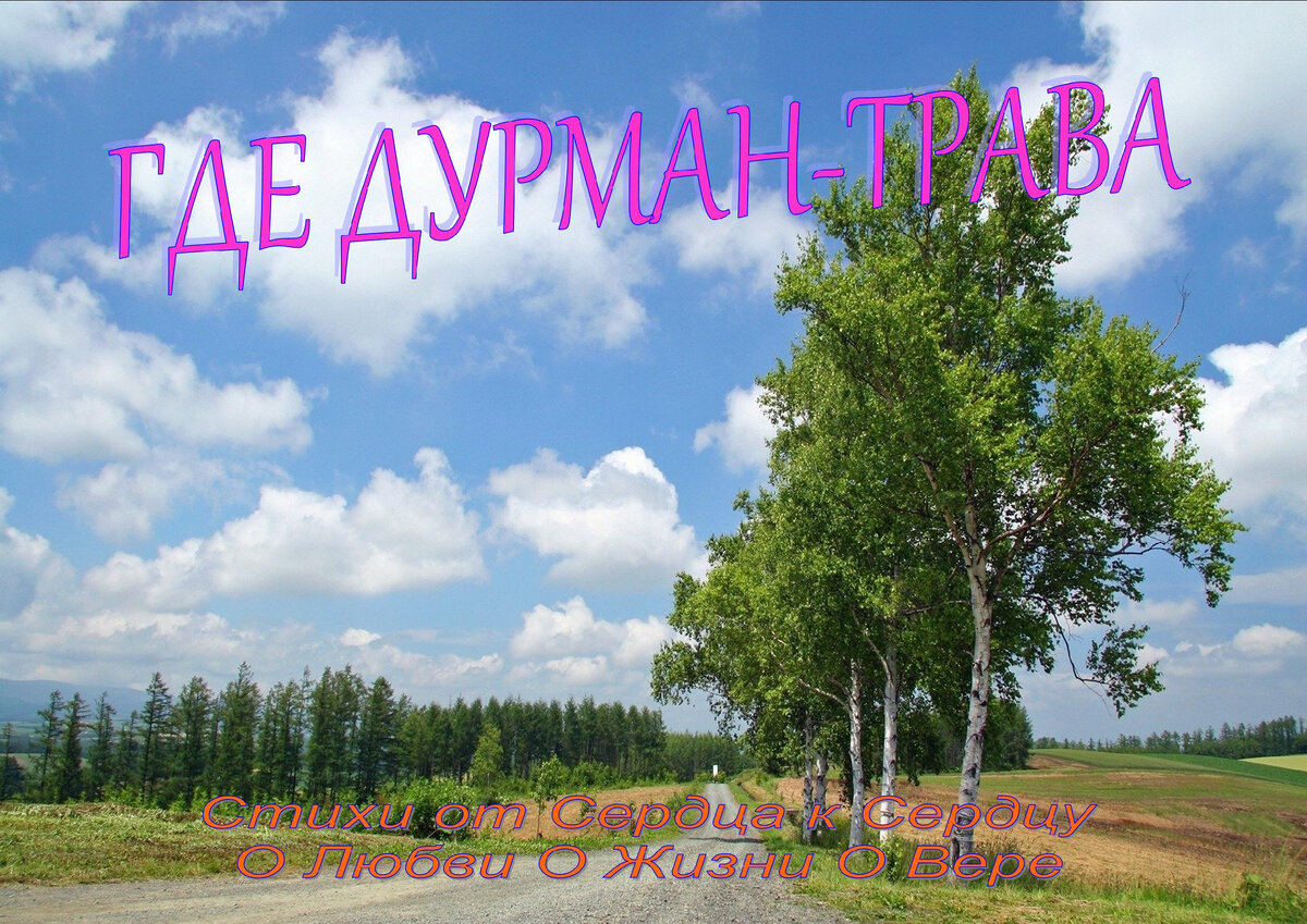 ГДЕ ДУРМАН-ТРАВА