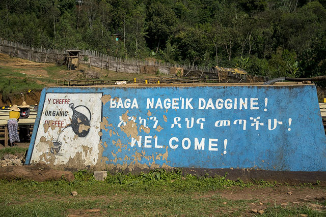 Вторая строчка написана как раз на языке Гедео. Да, у них даже письменность своя. Здесь и ниже — фотографии автора fups по лицензии CC BY-NC-ND 2.0.