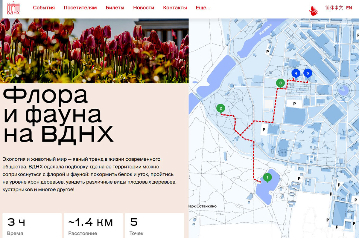 Маршрут вднх. ВДНХ маршрут прогулки. Выставка Россия на ВДНХ. Химки ВДНХ маршрут. Как попасть на ВДНХ