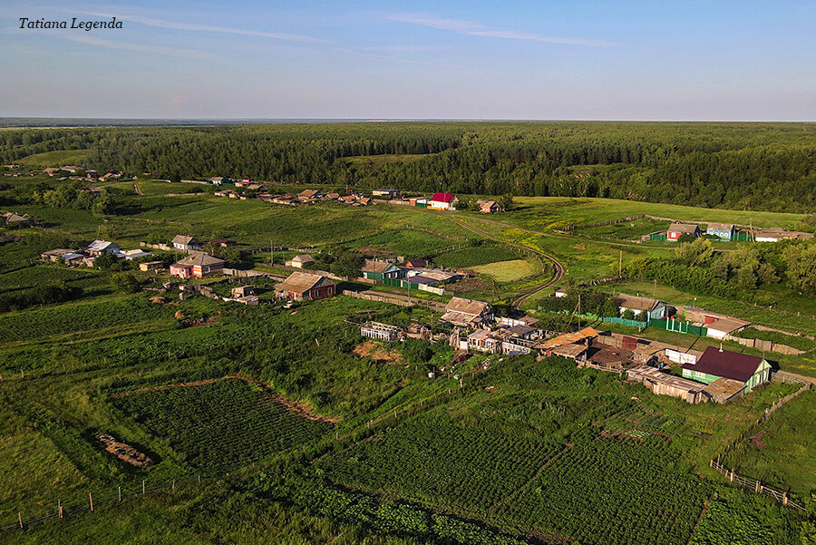 Горьковское омская область