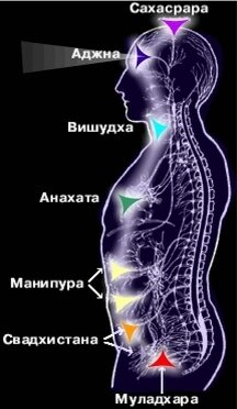 Энергетические центры человека - Чакры. 