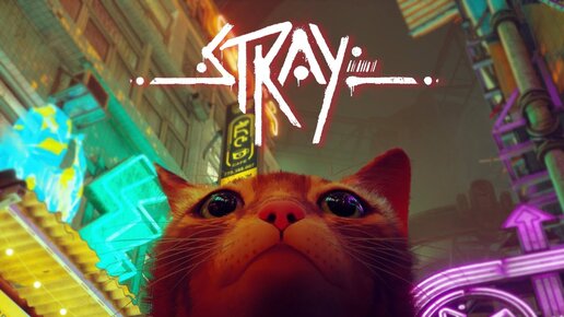 Токио без людей. Япония будущего глазами кота | Обзор Stray