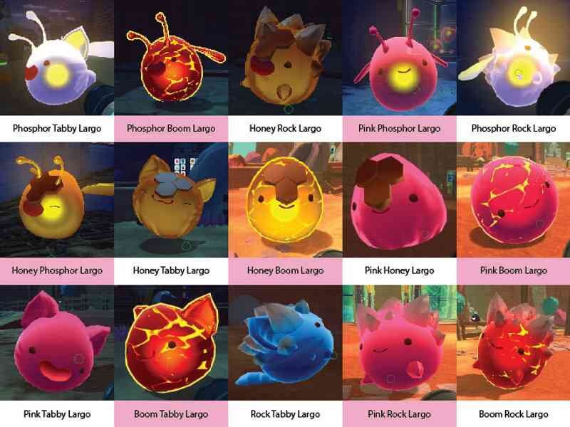 Ларго слаймы slime rancher