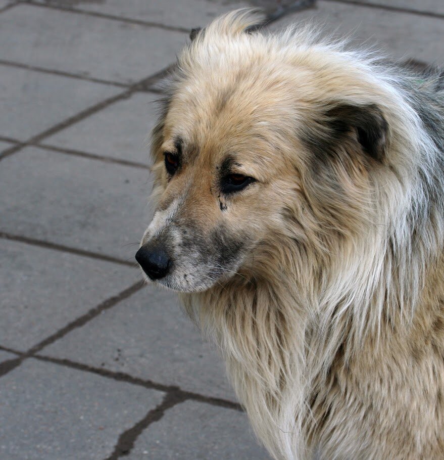 честно скромный. честно скромный. честно скромный. честно скромный. скромные статусы.