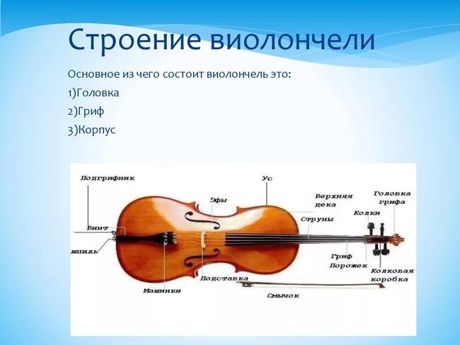 Из чего состоит скрипка схема для детей