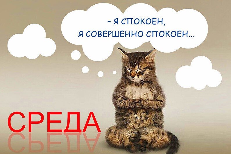 Фото из свободного доступа