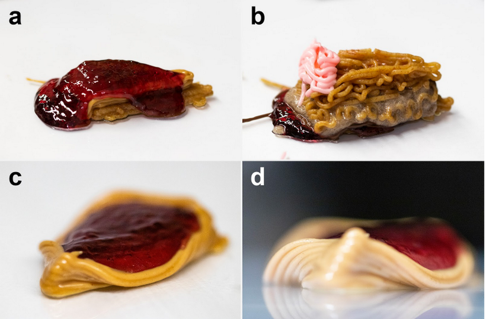   Jonathan David Blutinger et al. / npj Science of Food, 2023