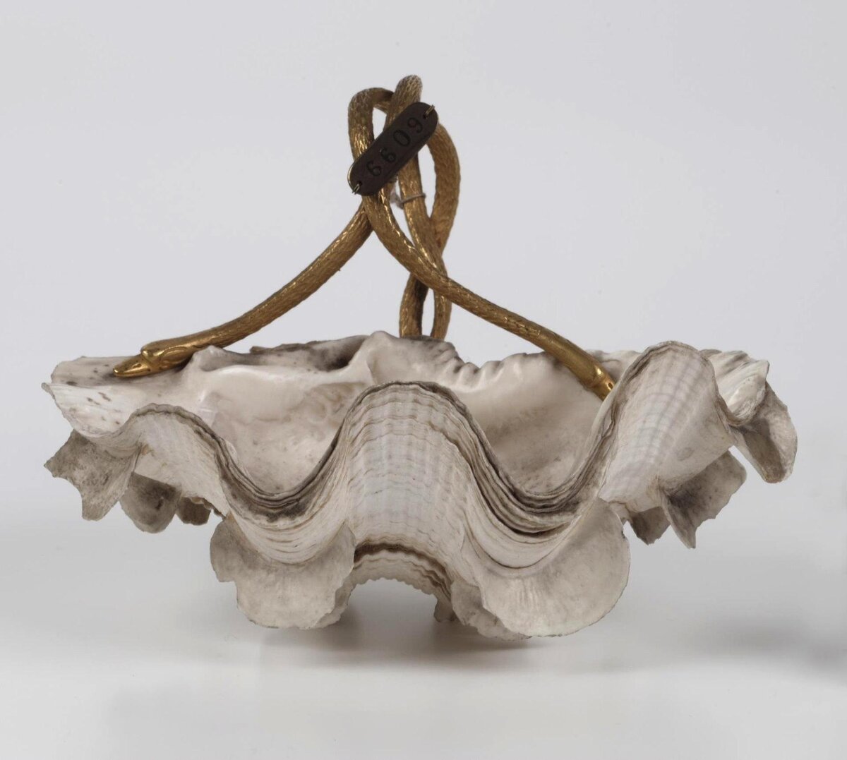 Иллюстрация № 1  