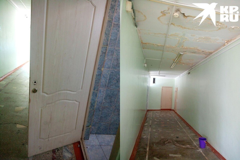     В стенах школы есть дыры, а растения давно не поливали. Фото: предоставлено героиней публикации