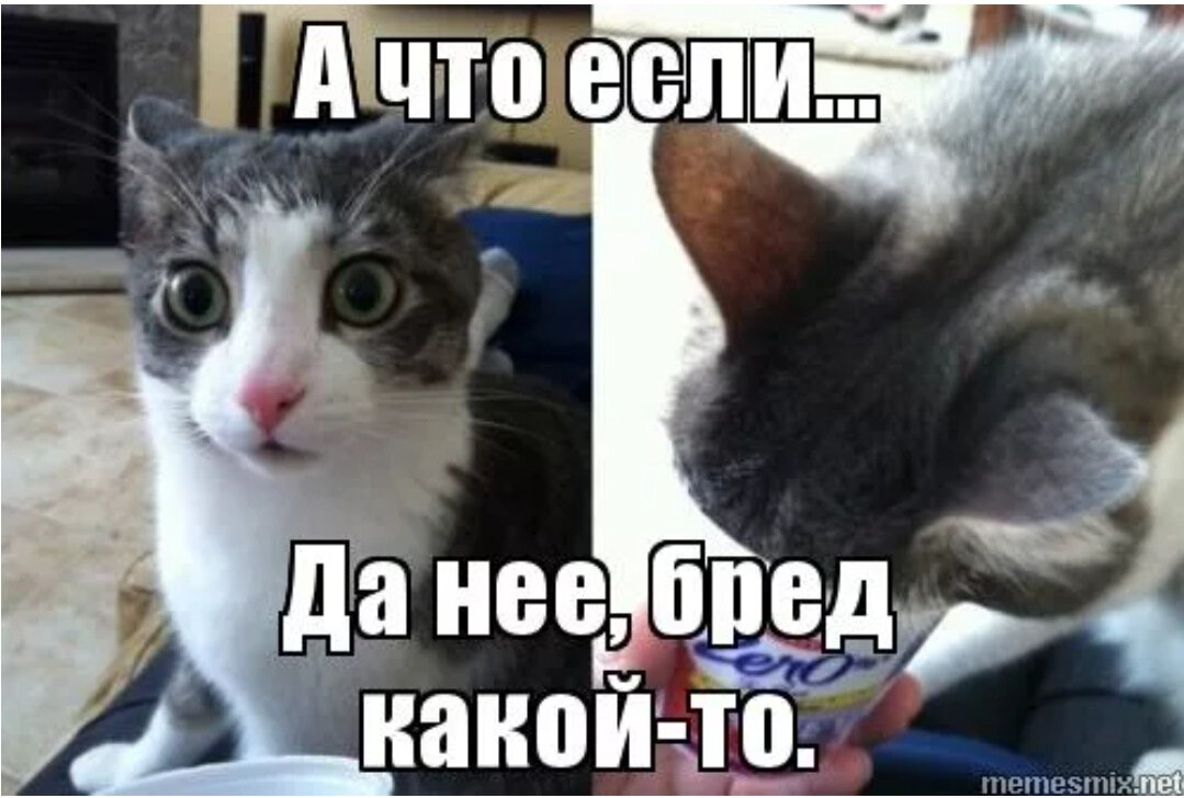 Заведи там. Да не бред какокакойто. Кот да ну бред какой-то. Да не бред какой-то. Да не бред какой то Мем.