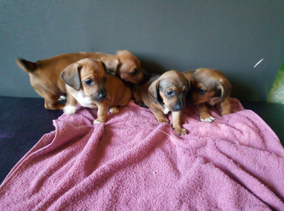 фото сделано автором.