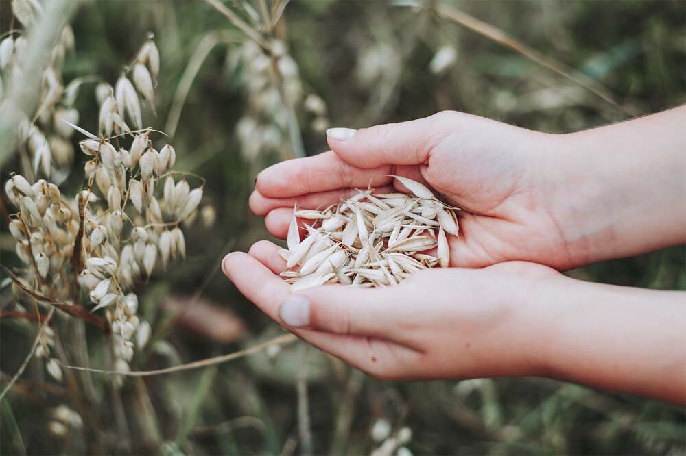 Фото: pixabay.com