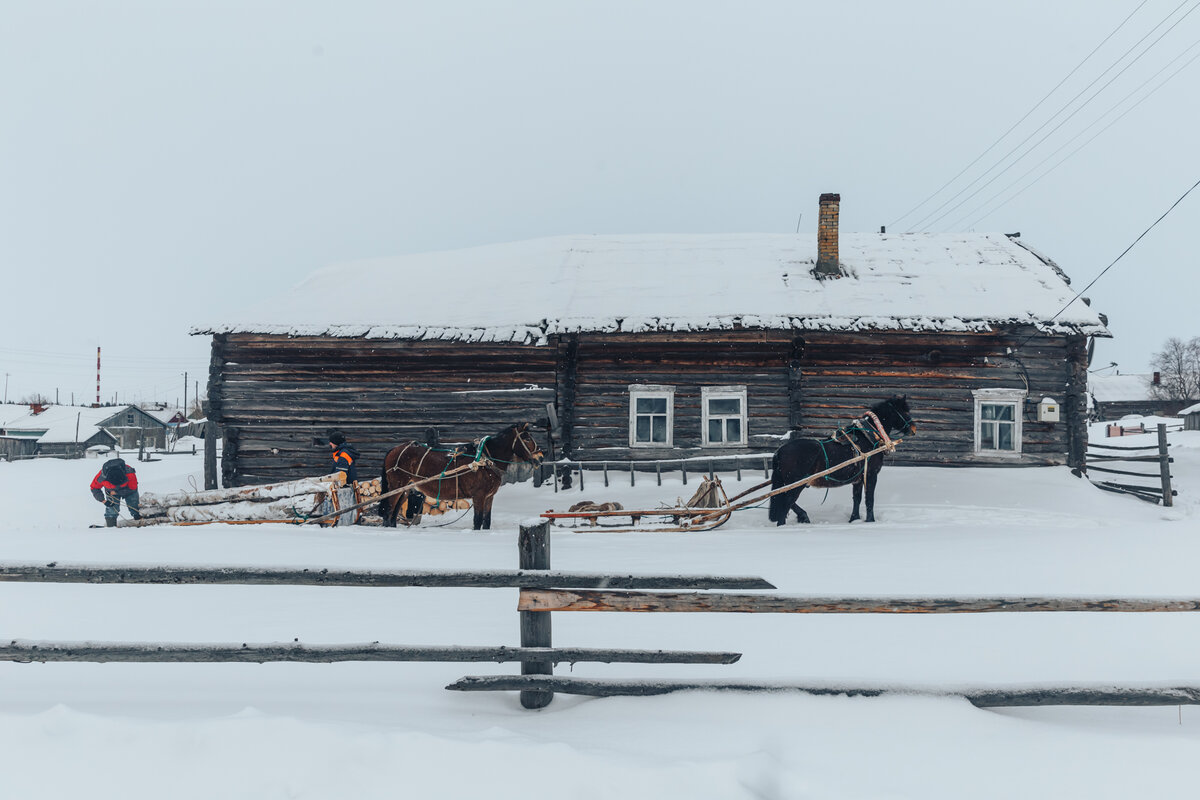 Как выживают в глухой деревне: продают дрова, чтобы заработать на ...