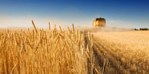 Фото: https://inbusiness.kz/ (https://inbusiness.kz/uploads/37/images/ogzCx4Gl.jpg)