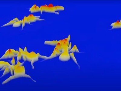    Гигапиксельный 3D-микроскоп показали в действии [ВИДЕО]