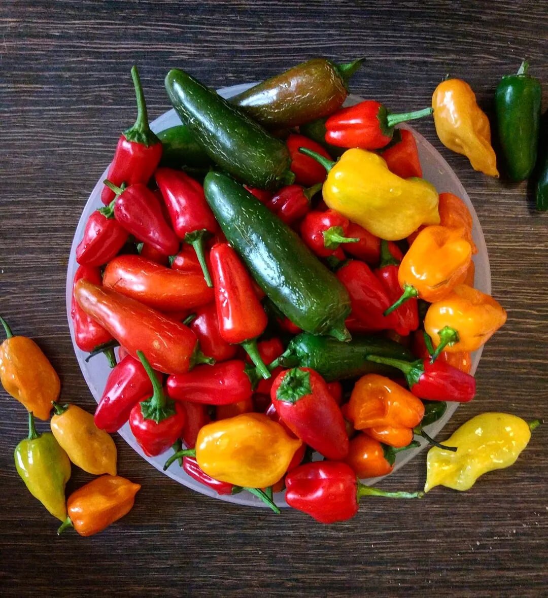 Халапеньо, Хабанеро и Дракоша. Халапеньо - побольше. Зеленый и красный, с трещинками.
 
