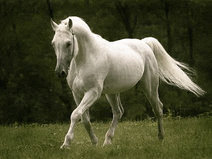 Ценность кадра. Мой опыт