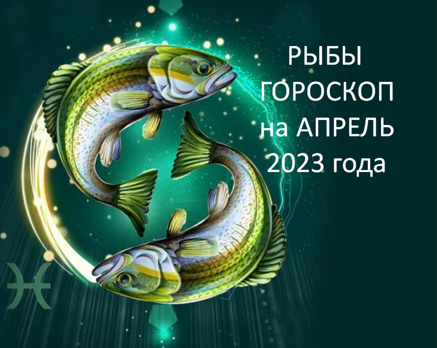 Фото из открытого источника