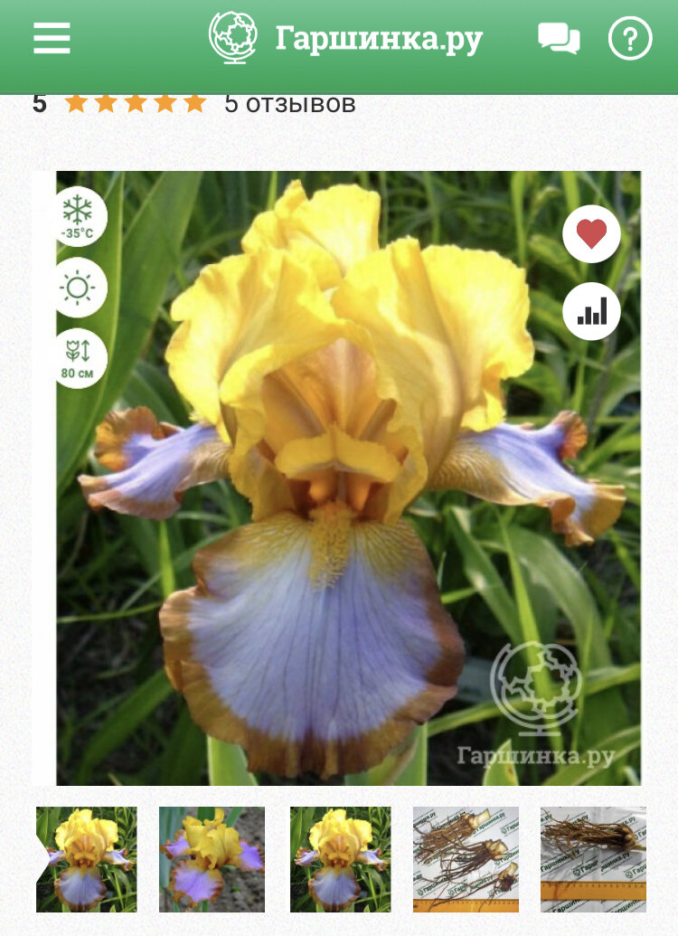 Фото взято с сайта Гаршинка