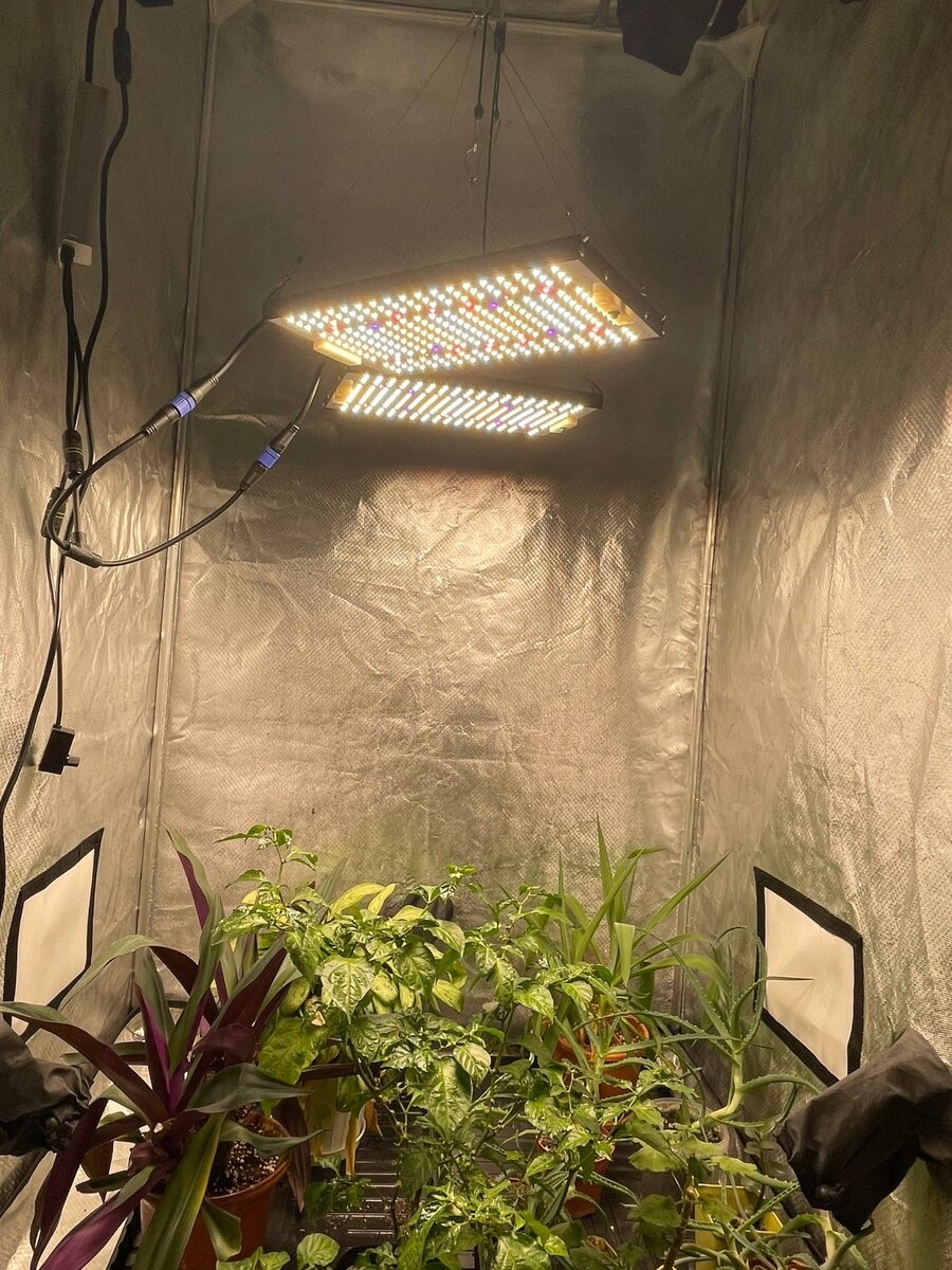 Без света нет жизни!