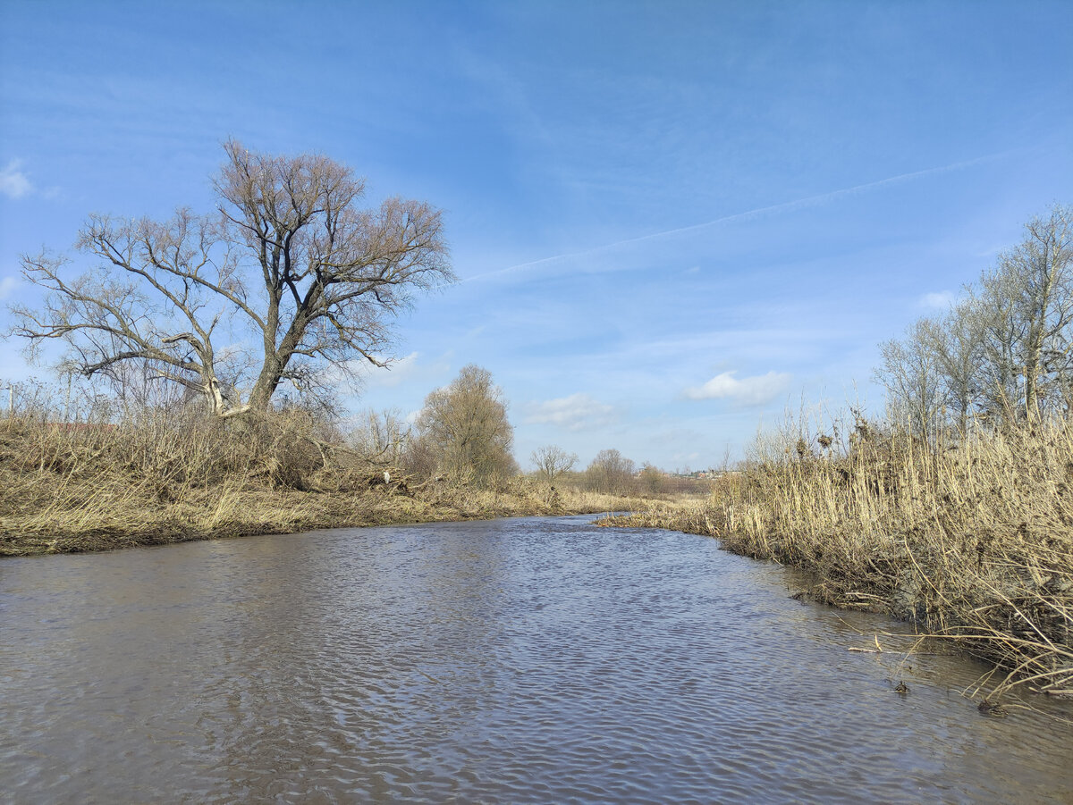 Уровень воды в мокше на сегодня