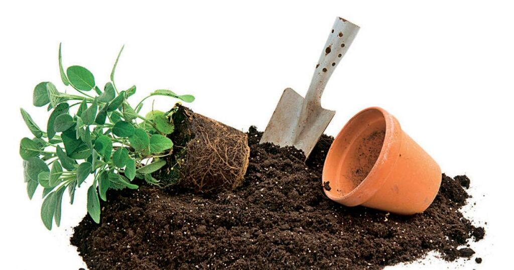 Земляные смеси. Грунт для растений. Земля для посадки цветов. Грунт для рассады. Почва для комнатных растений.