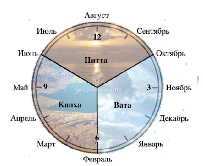 Зона суток. Вата Капха Питта по часам. Питта вата Капха доша часы. Время суток вата Питта Капха. Аюрведа Доши.