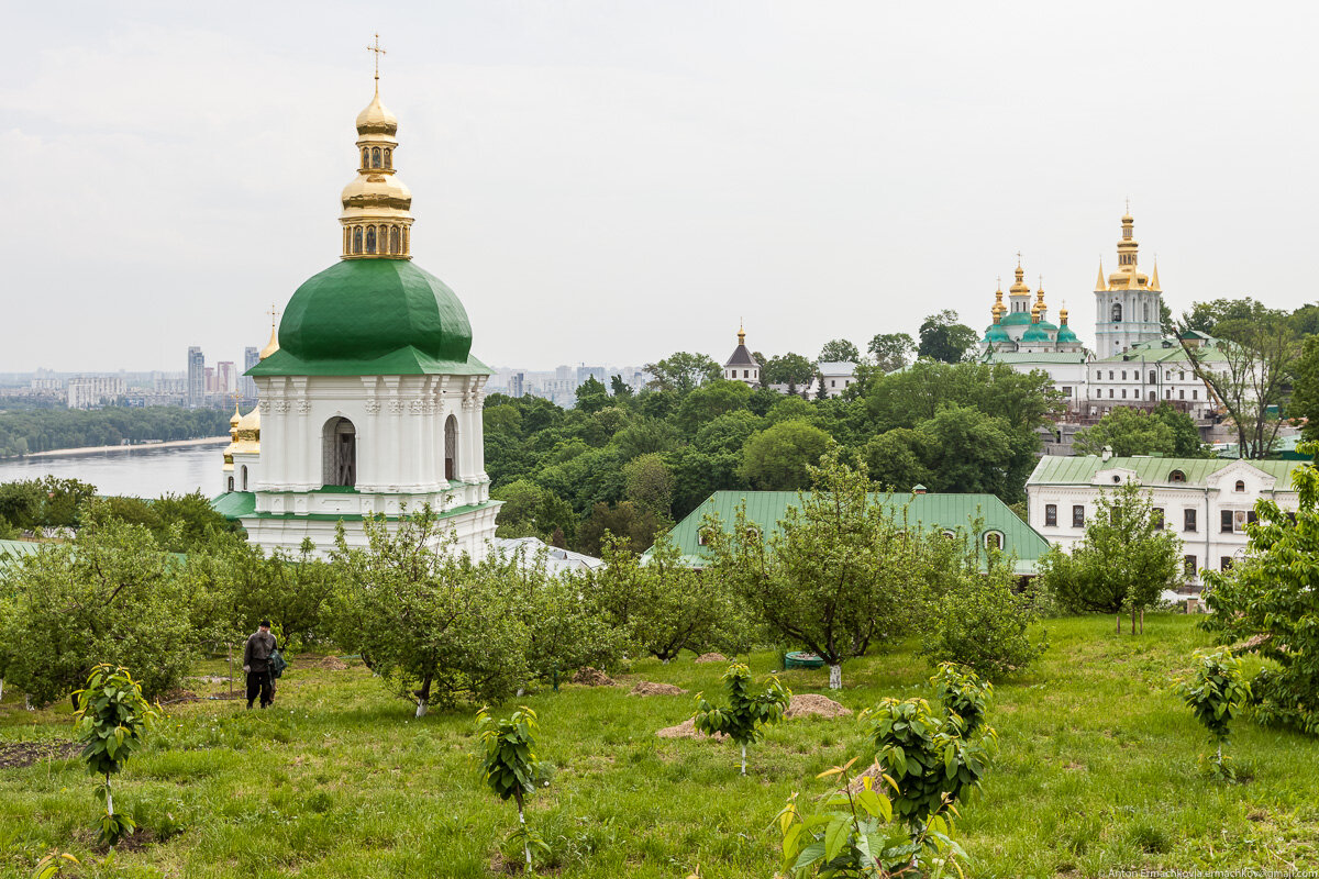 Фото: Яндекс Картинки