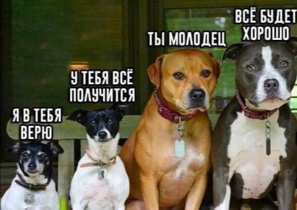 Изображение взято со свободного источника в Интернете.