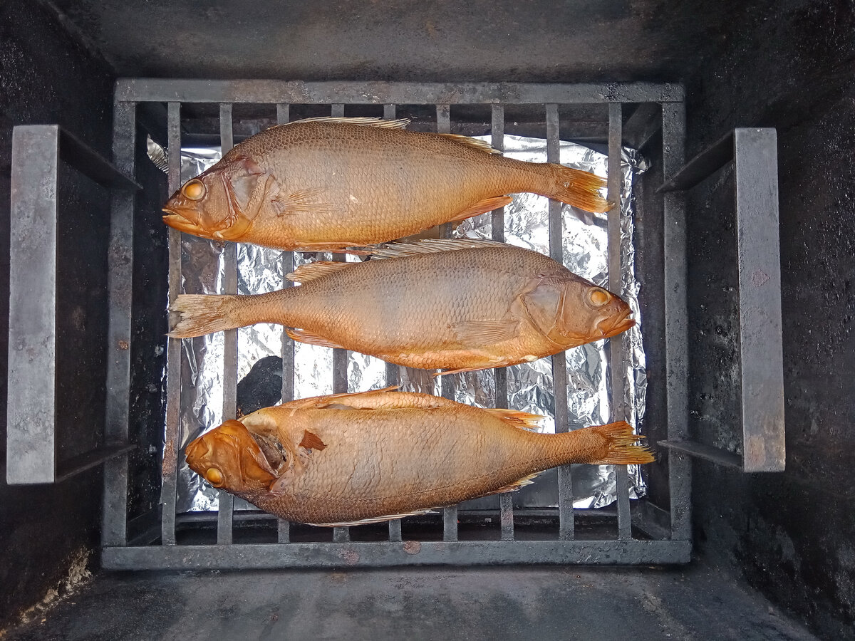 Рецепты копчения рыбы в коптильне | Оборудование для промышленного копчения