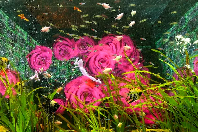 Художественная инсталляция виртуальной реальности