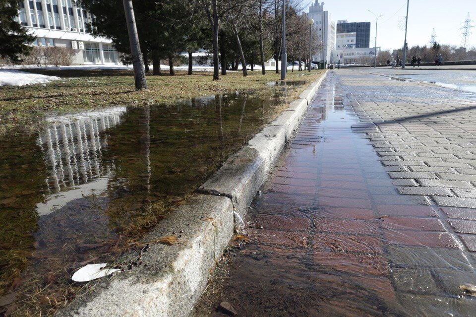     В Томске потеплеет в середине апреля. Ксения Высотина