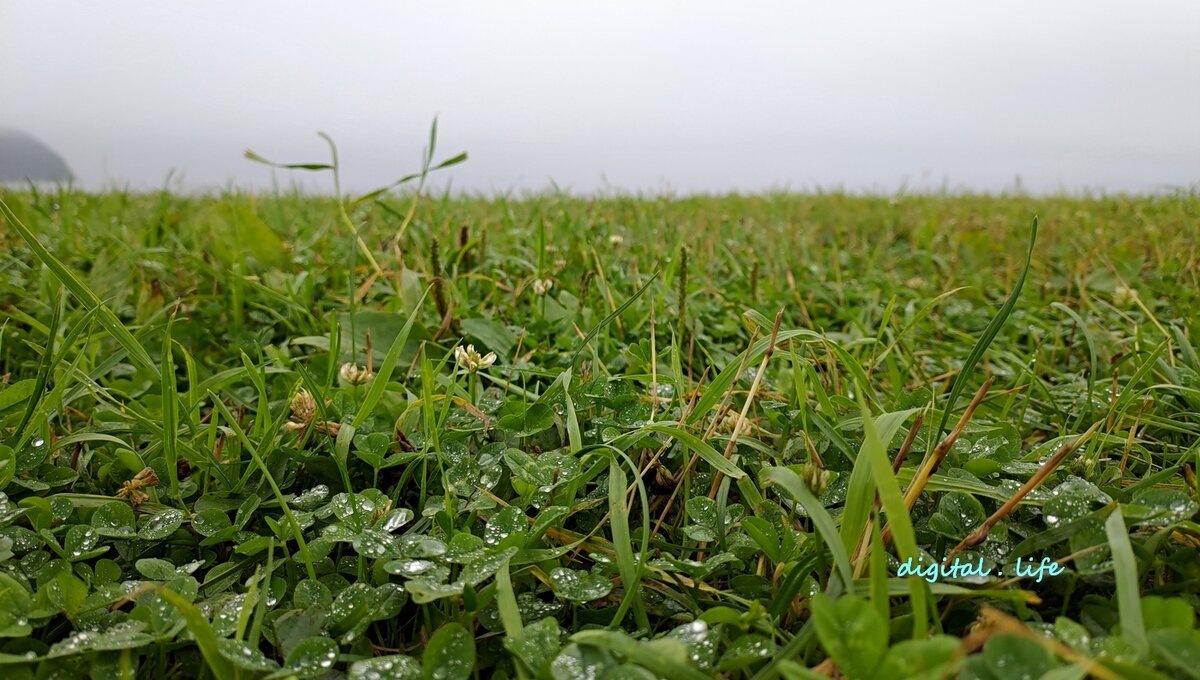 Фото автора с моросящего берега. 2020.