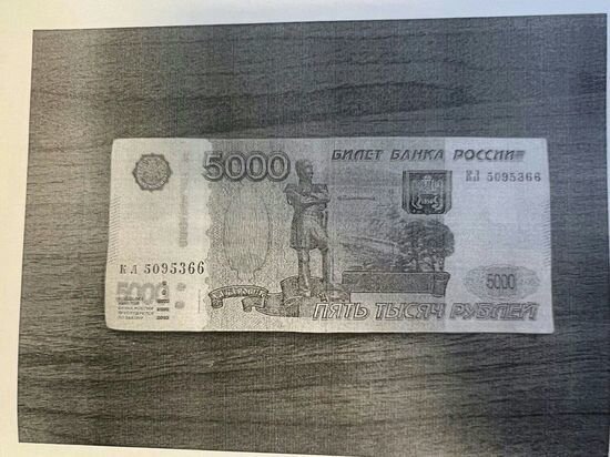     Фото: ОМВД России по Суджанскому району Курской области