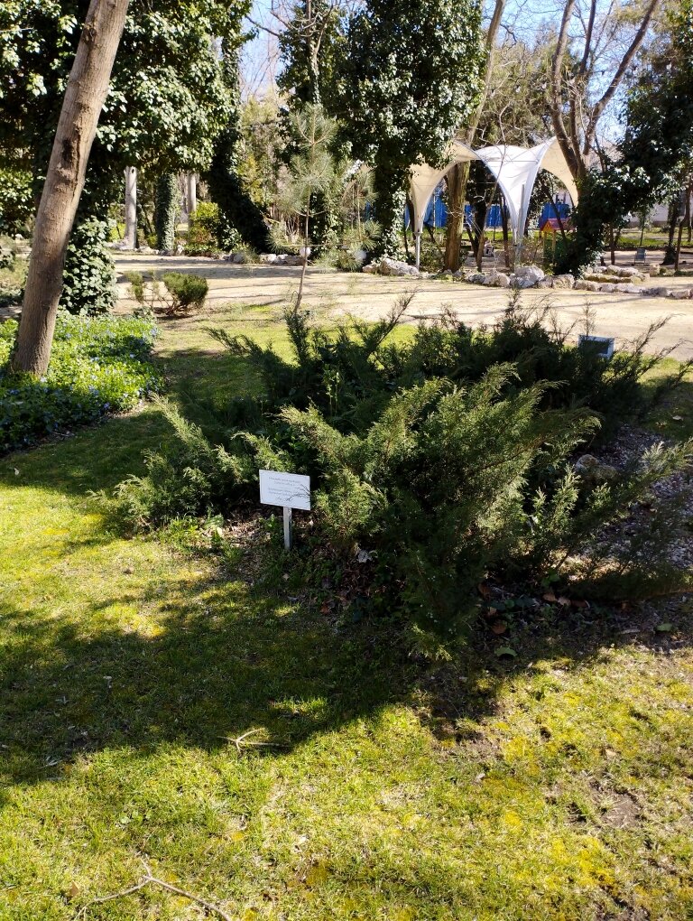 Сегодня в парке. Фото автора канала